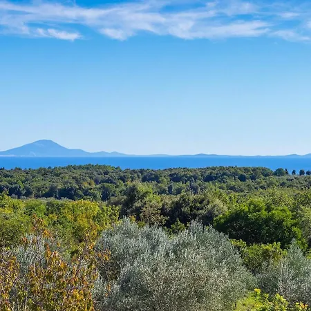 Wonderview Holiday home